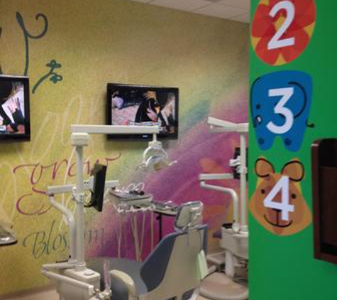 My Kid's Dentist & Orthodontics - Westminster, CO