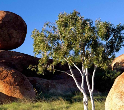 Migration Corporation of Australia - Coconut Grove, NT. We are Northern Territory’s most ethical and professional Registered Migration Agents for Australian visas.
