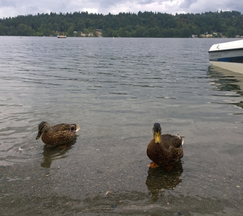 Idylwood Beach Park - Redmond, WA