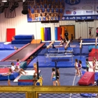 Gym Nest School of Gymnastics