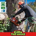 Gills Tree Service