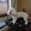 Bark "N" Babies Pet Grooming and Boarding gallery