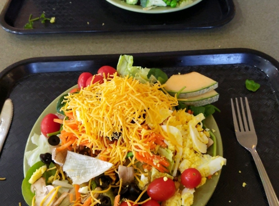 Souper Salad - Lewisville, TX