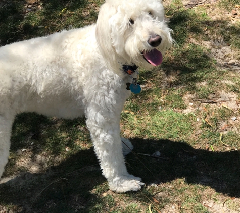 Destin Dog Park - Destin, FL