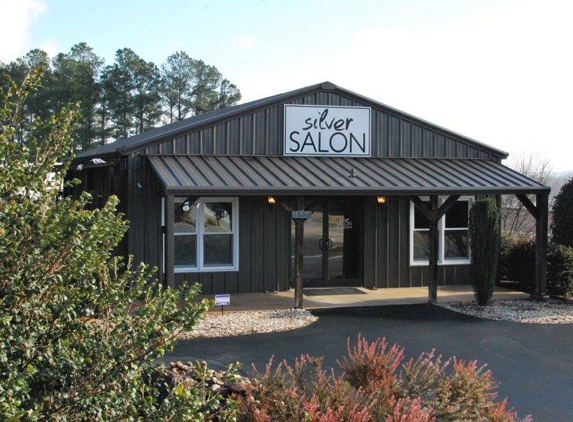 Silver Salon - Easley, SC