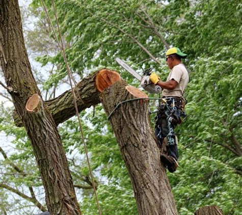 An-Affordable Tree Service LLC.