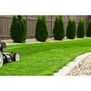 Clean Cut Lawn Care - Lawn Maintenance