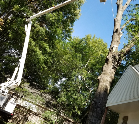 Davis Brothers Tree Care, Inc