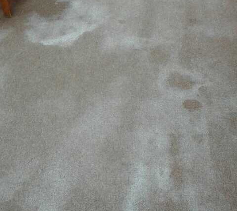 Metro Carpet Cleaning. Company charged me 250 and has not returned my calls after letting them know my carpet was turning white. Do not use this company