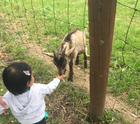 Royal Oak Farm Orchard - Harvard, IL