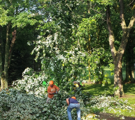 Harper Hill Tree Service - Mason, MI