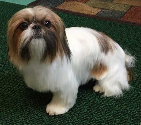 Pampered Pet Parlor - Ilion, NY