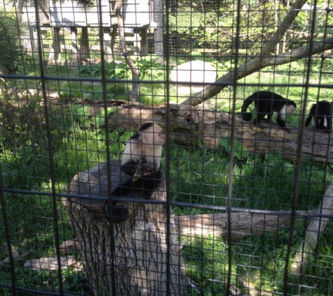 Children's Zoo At Celebration Square - Saginaw, MI