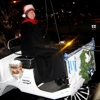 Downtown Denver Carriage Rides gallery