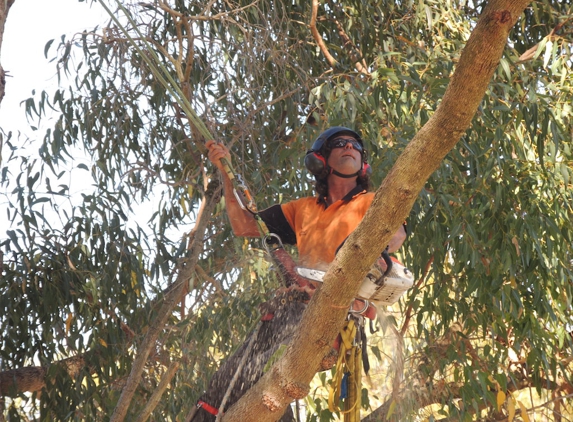 Branching Out Tree Care - Barragup, WA