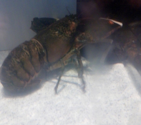 Red Lobster - Las Vegas, NV