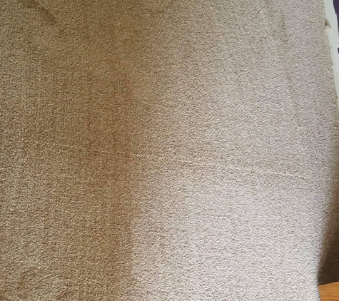 Better Quality Carpets and Floors - Wixom, MI. Don't use them! They left horrible seams and be stapled the carpet in