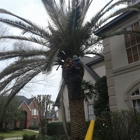 Orellanas Tree Service