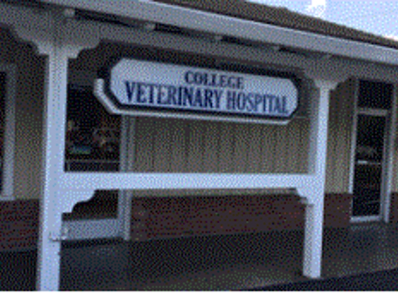 College Veterinary Hospital - Modesto, CA