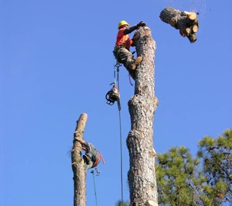 Atlantic Tree Service - Chatham, NJ