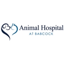 Animal Hospital at Babcock - Pet Services