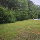 Bottomland Brush Control