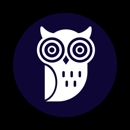 Night Owl Websites - Internet Marketing & Advertising