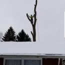 Northern Arbor LLC - Tree Service