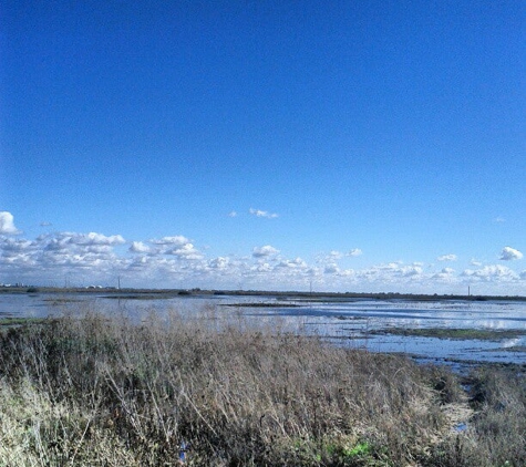 Fish & Game Department-Yolo Bypass Wildlife Area - Davis, CA