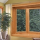 Stanek Windows