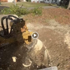 Tree Stump Removal and Excavation