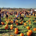 Cal Poly Pomona Farm Store