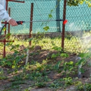 General Pest Control - Pest Control Equipment & Supplies