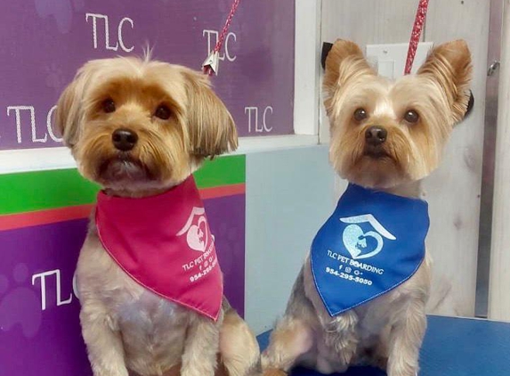 TLC Pet Care Services - Fort Lauderdale, FL