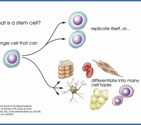 Adam Fidel's Stem Cell Solution Center - Pikesville, MD