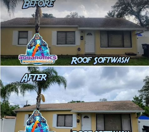 Aquanomics Powerwash LLC - Tampa, FL