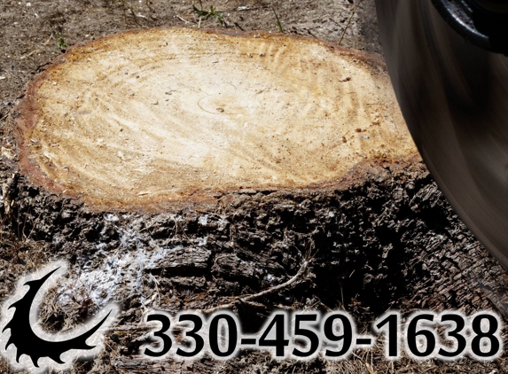 Vaughan's Tree Service - Hudson, OH