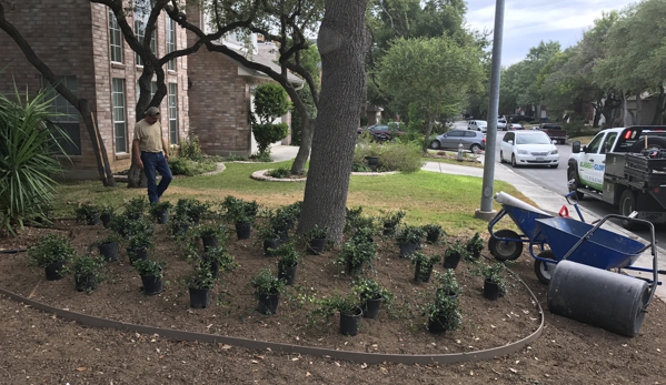 Blades of Glory Landscape and Lighting - Boerne, TX