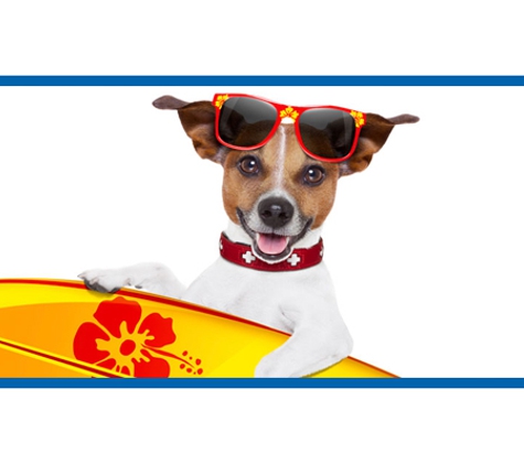 Kanwal Veterinary Hospital - Kanwal, NSW