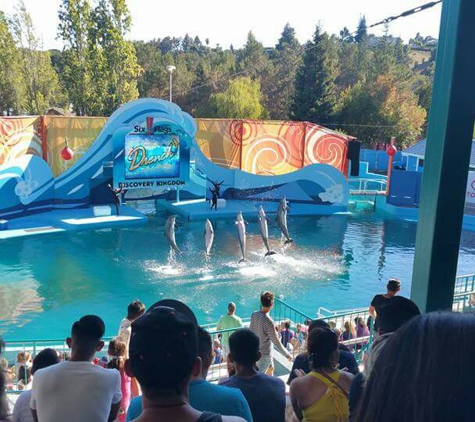 Six Flags Discovery Kingdom - Vallejo, CA. Dolphin show