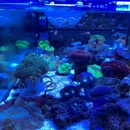 Saltwater Heaven - Aquariums & Aquarium Supplies-Leasing & Maintenance