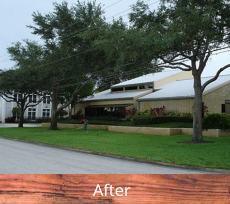 Bay City Tree Service - Saint Petersburg, FL