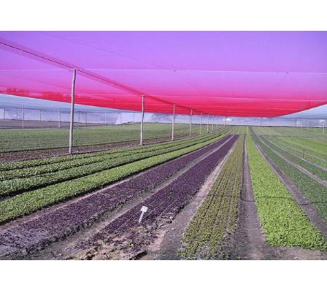 Netpro Tasmania Construction - Howrah, TAS