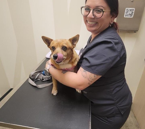 Vetco Total Care Animal Hospital - Santee, CA