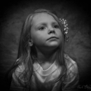 Terry C Photography - Portrait Photographers