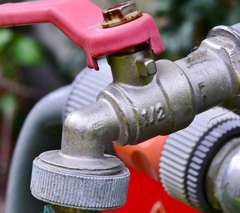 Everything Pumpin' - Chatsworth, QLD