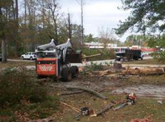 Ken's Tree Company,Inc. - Wilmington, NC