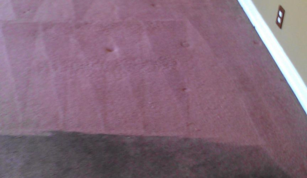 Complete Carpet Restoration and Upholstery Cleaning Specialist - Pomona, CA