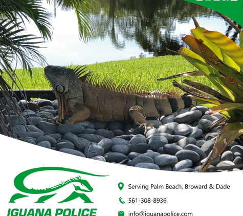 iguana police - Boynton Beach, FL