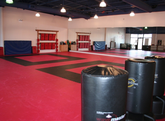 The Dojo American Karate Center - Alpharetta, GA